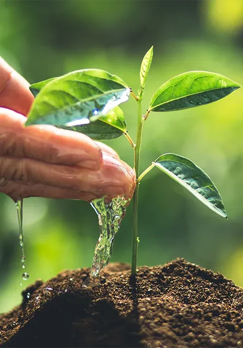 Asuntos Ambientales, Sociales y de Gobernanza